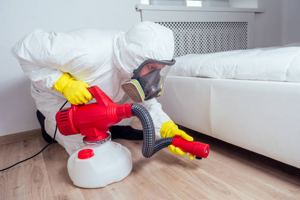 Best Real Estate Pest Inspections  in Ashville, AL